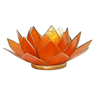 Eclairage Lotus 2° Chakra orange & or