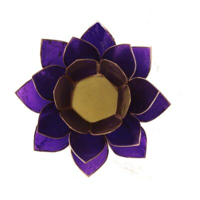 Eclairage Lotus 7° Chakra violet & or