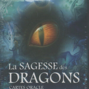 LA SAGESSE DES DRAGONS